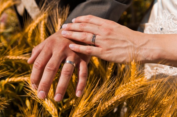 Guitar,Solo,Sting,Song,Love,Ballade,Relationship,Commitment, Eva,Cassidy, Fields of Gold,